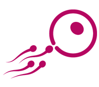 IVF